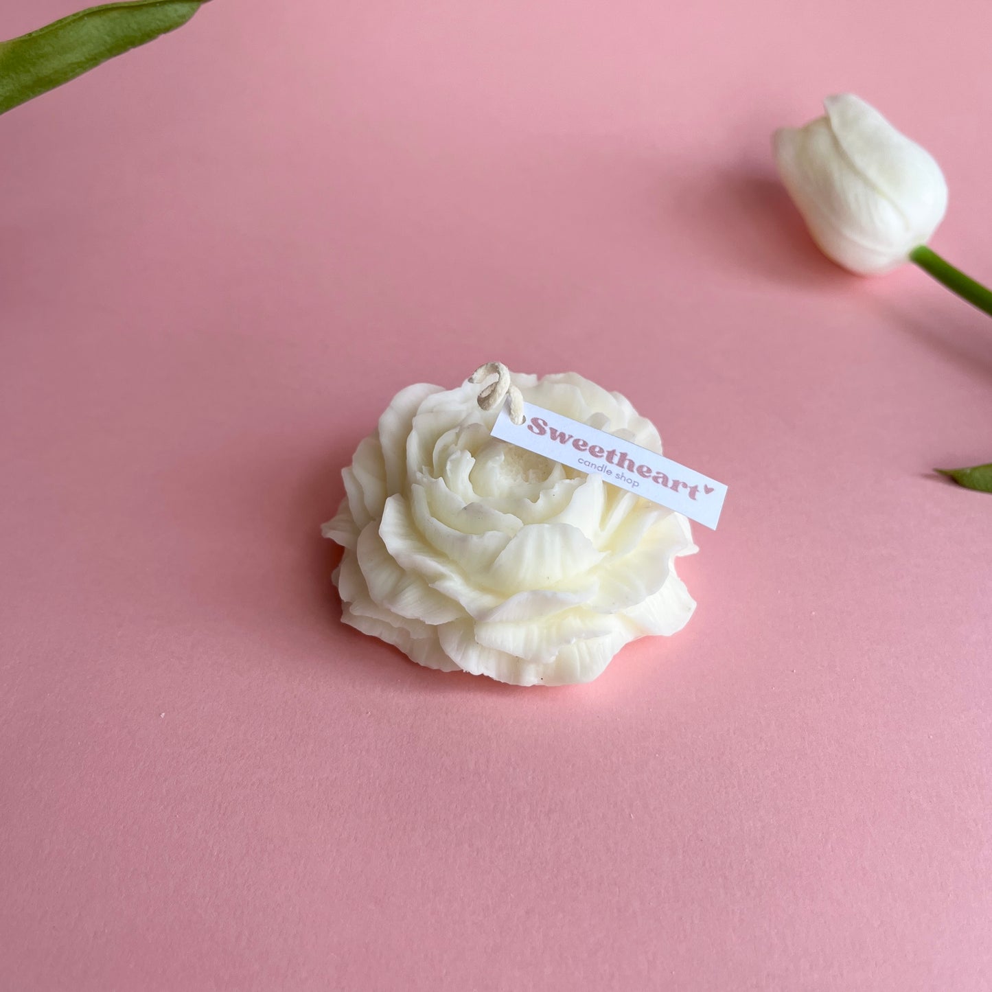Peonia
